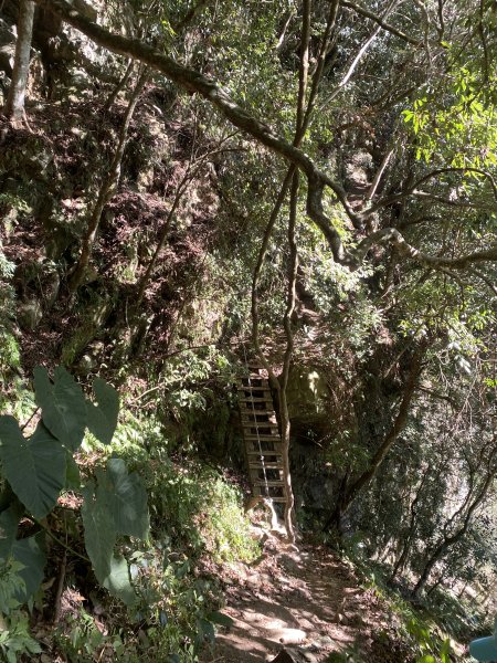1111120泰安鄉鳥嘴山2672957