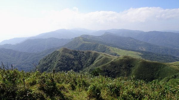 灣坑頭山，大里上大溪下1993806