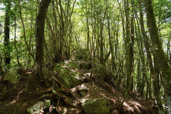 台中 和平 馬崙山2796964