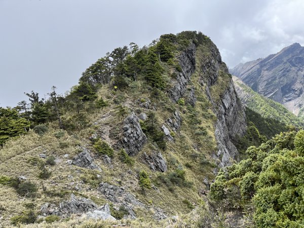 聖稜線I 2023_0526(D4-3) 巴紗拉雲山2166630