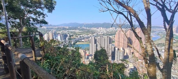 新店獅頭山(小獅山)步道2694749