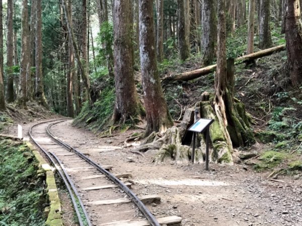 自忠上東水山連走特富野古道1244589