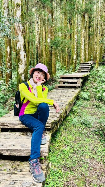 🌈228連假北橫賞櫻客製化四日遊Day2 FB：熊熊趴爬走🌈2724599