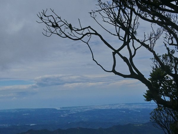 美麗的山林～加里山（小百岳）O型走597863