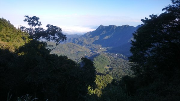 金柑樹山、金柑樹山西北峰、嶺頭山東峰、嶺頭山4山連走1606912