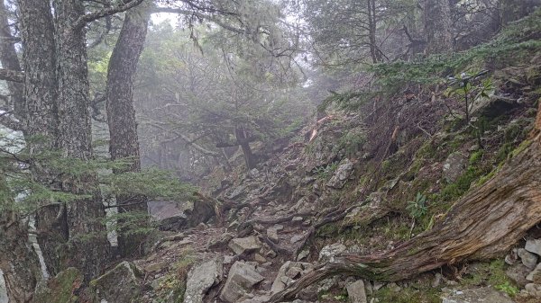 雪山西稜3135047