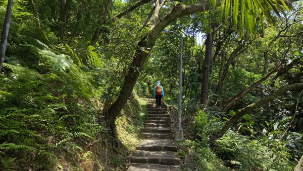 (姨婆趴趴走)第五十三集:台北內湖三山（白鷺鷥山、康樂山、明舉山）連走2774610