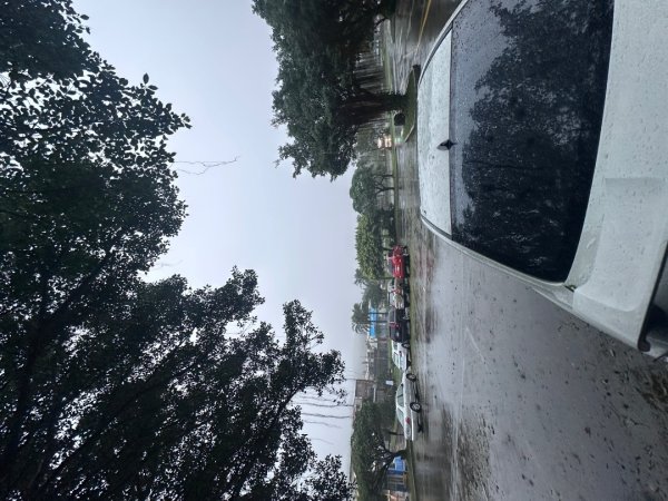 2024草嶺古道芒花季草嶺古道2644774