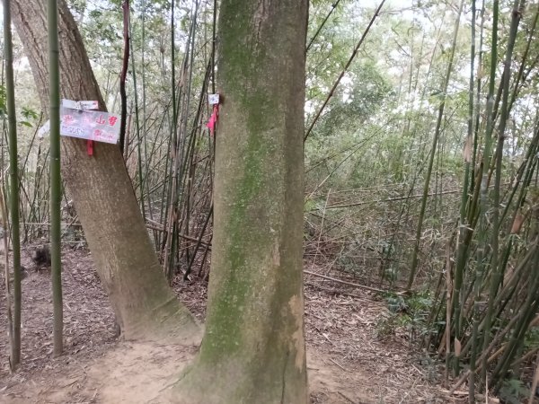 寶山鄉寶山水庫(寶山東峰+中峰+中西峰+西峰+西北峰)+尖山O型3012534