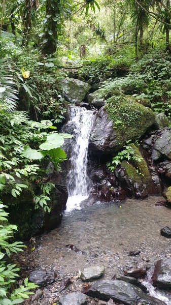 聖母登山步道（抹茶山）2005785