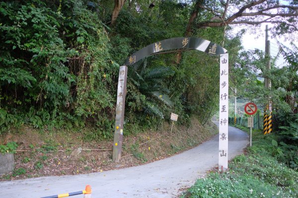 苗栗獅潭鄉 神仙縱走1919351