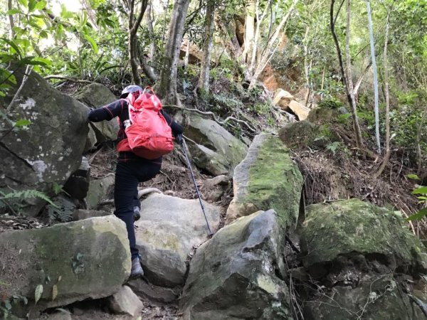 五寮尖上大風狂448891