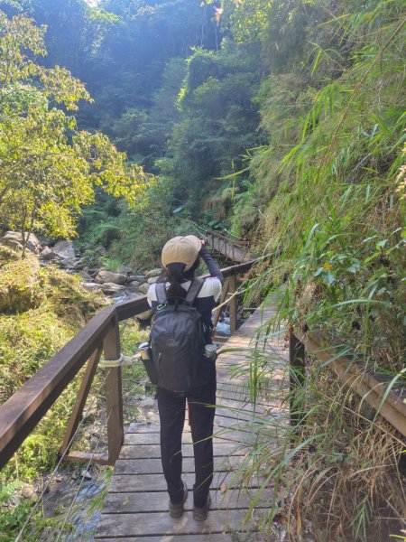 唐麻丹山 蝴蝶谷2918981