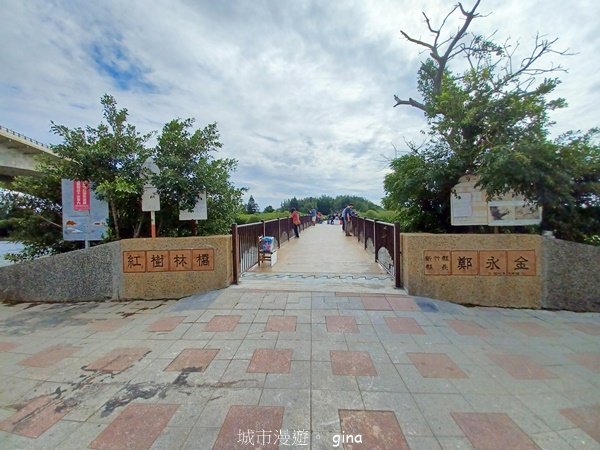 【新竹新豐】台灣唯一建有觀賞步道的生態保護區。 新豐紅樹林生態保護區2381816