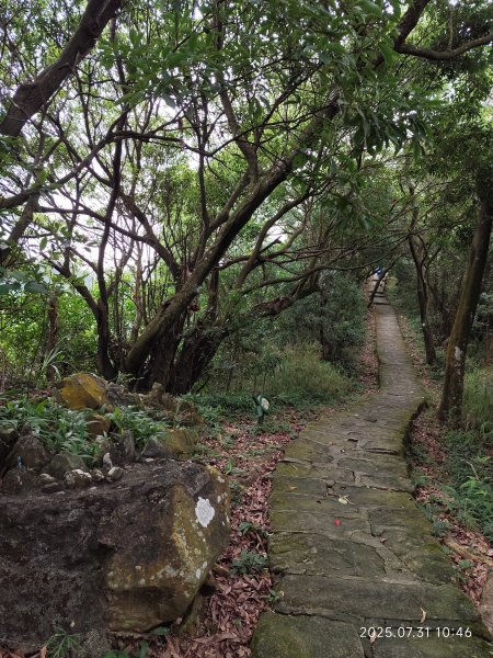 大湖公園→大溝溪生態治水園區→圓覺寺步道→圓覺瀑布→圓覺寺→鯉魚山步道【臺北大縱走 4、臺北健走趣】2849148