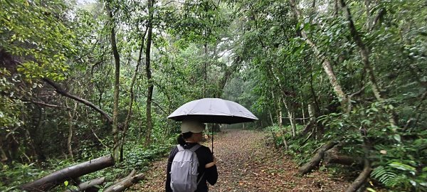 2025/05/25_茶園坪山2796581