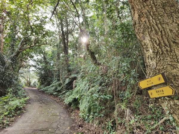 2024.03.24 飛鳳古道2908482