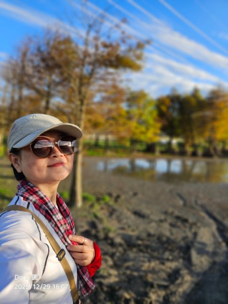 20251229石龜坑山上白石山下白石埤O走+阿姆坪2976747