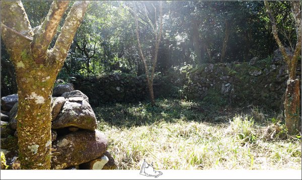 二子坪接面天山、向天山步道864284