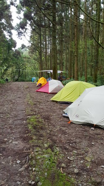 淡蘭古道坪溪段1294149