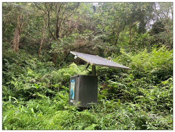 聖母峰、三角崙山 (抹茶山) 連走2802186