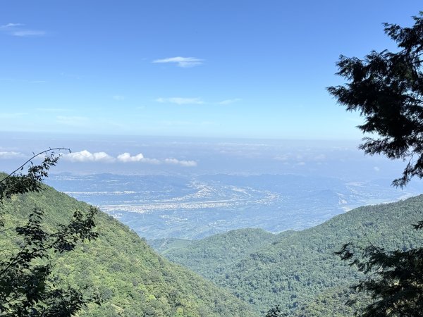 橫嶺山走走避暑趣 2025.6.112815436