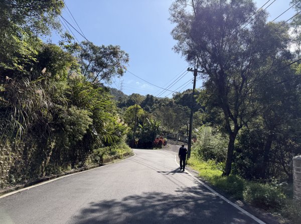 [淡蘭古道] 2026_0315 南路第三段_四分子古道3016912