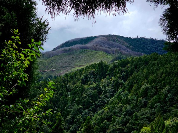 野馬瞰山步道-2025森遊竹縣皮皮獅探險隊2895223