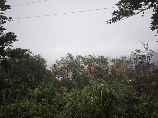 2026_0131 獅球嶺北峰2997796