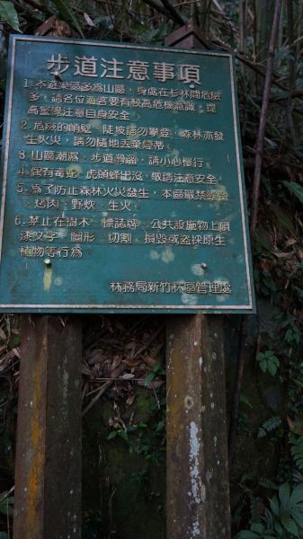 馬那邦山之楓222157