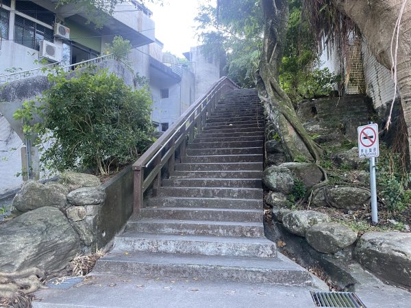 【四獸山 Short】虎豹象先行！獅山封閉中，等新步道開箱再相見2888872