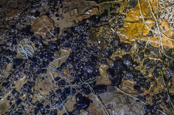 傳說中的「魔神仔洞」| 菁桐古道（汐止段＆平溪段）2721257