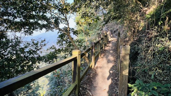 [台南東山]崁頭山步道|林蔭巨石木棧道視野遼闊的親子簡單輕鬆步道|優雅竹林圍繞三角點清幽野餐1603478