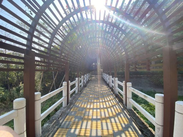 苗栗頭份-老崎古道2628342