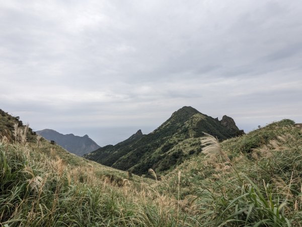 金瓜石九份2981420