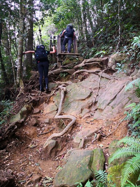 北得拉曼 內鳥嘴山1524478