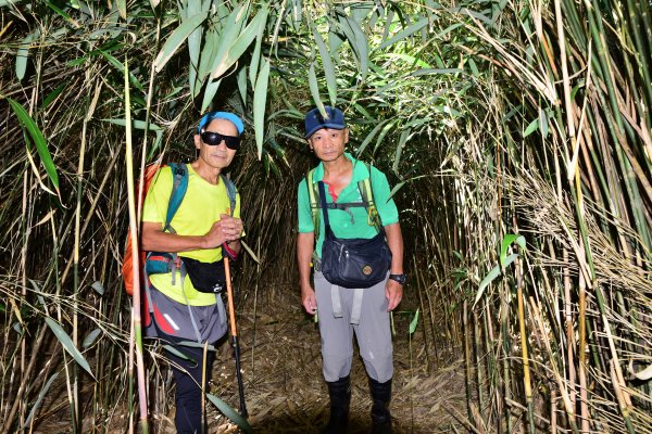 2022-08-21 五腳松古道-金孔坪-菜頭崙-小觀音山北北峰-紅葉谷瀑布-內柑宅古道O形1814359