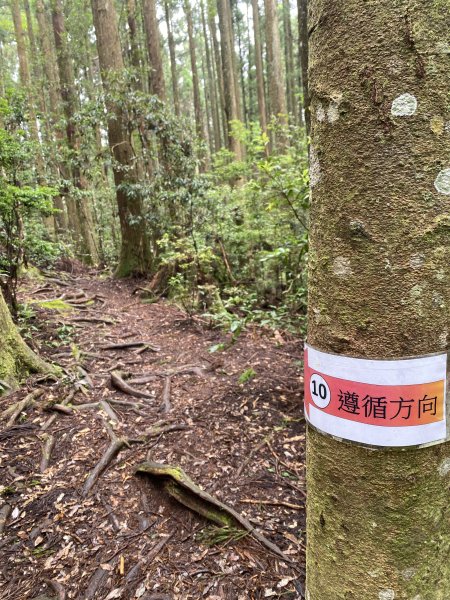 20250705-Ep.01野馬瞰山步道-2025森遊竹縣皮皮獅探險隊2851281