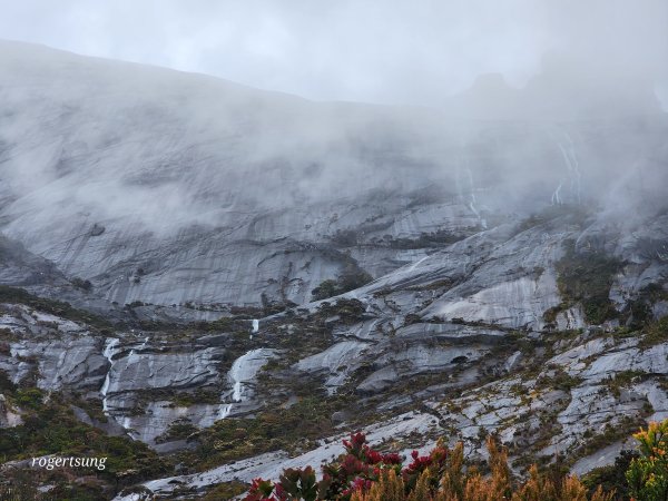 馬來西亞沙巴神山未竟之旅~(京那巴魯山 Mount Kinabalu)2732180