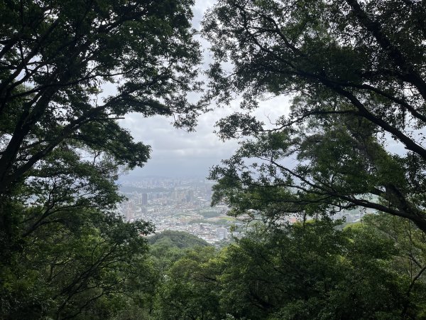 2024_1020 貴子坑親山步道2634255