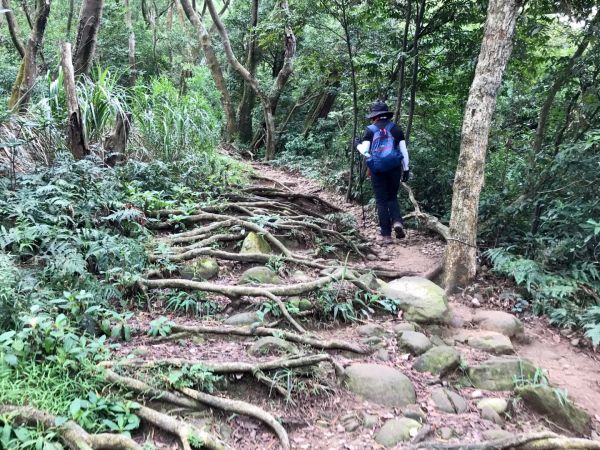 飛鳳山觀日坪連走中坑山388272