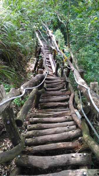 大坑2號至頭嵙山（小百岳）148558