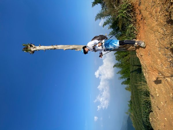 太平山稜線步道-馬鞍山-二尖山1844749