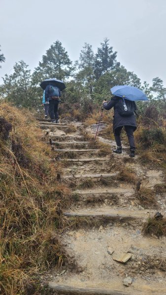2025-0222 翠峰湖環山步道2718639