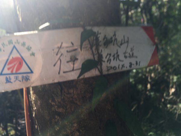 小觀音山群峰8字型縱走581219