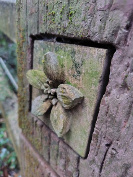 苗栗關刀山2975081