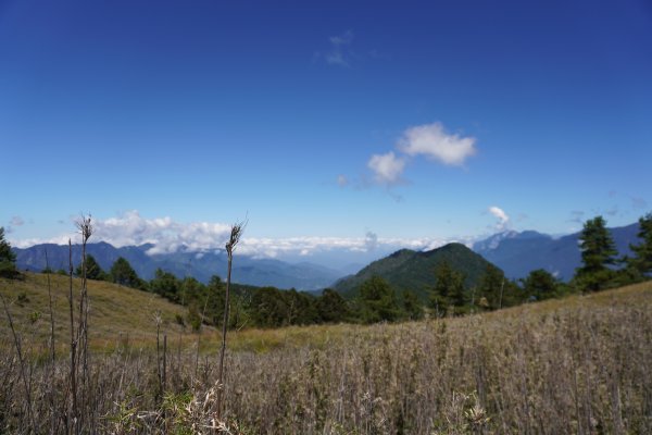 麟趾山一日遊3010212