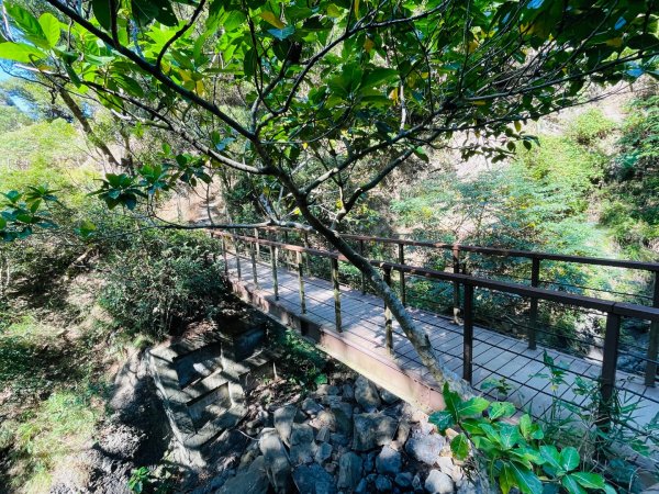 1150123里龍山2986669