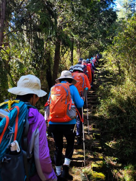 2025-08-24 塔塔加-大鐵杉-鹿林山莊-鹿林前山-鹿林山-黑森林-玉山登山口-上東埔2869071