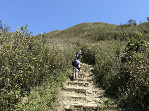2025/03/21 聖母山莊 抹茶山 三角崙山2935096